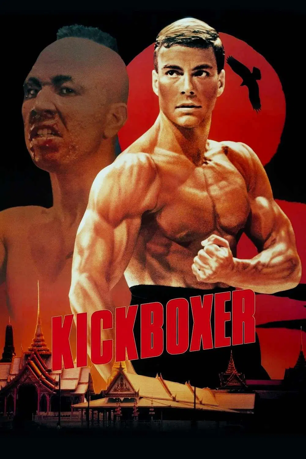 Der Kickboxer