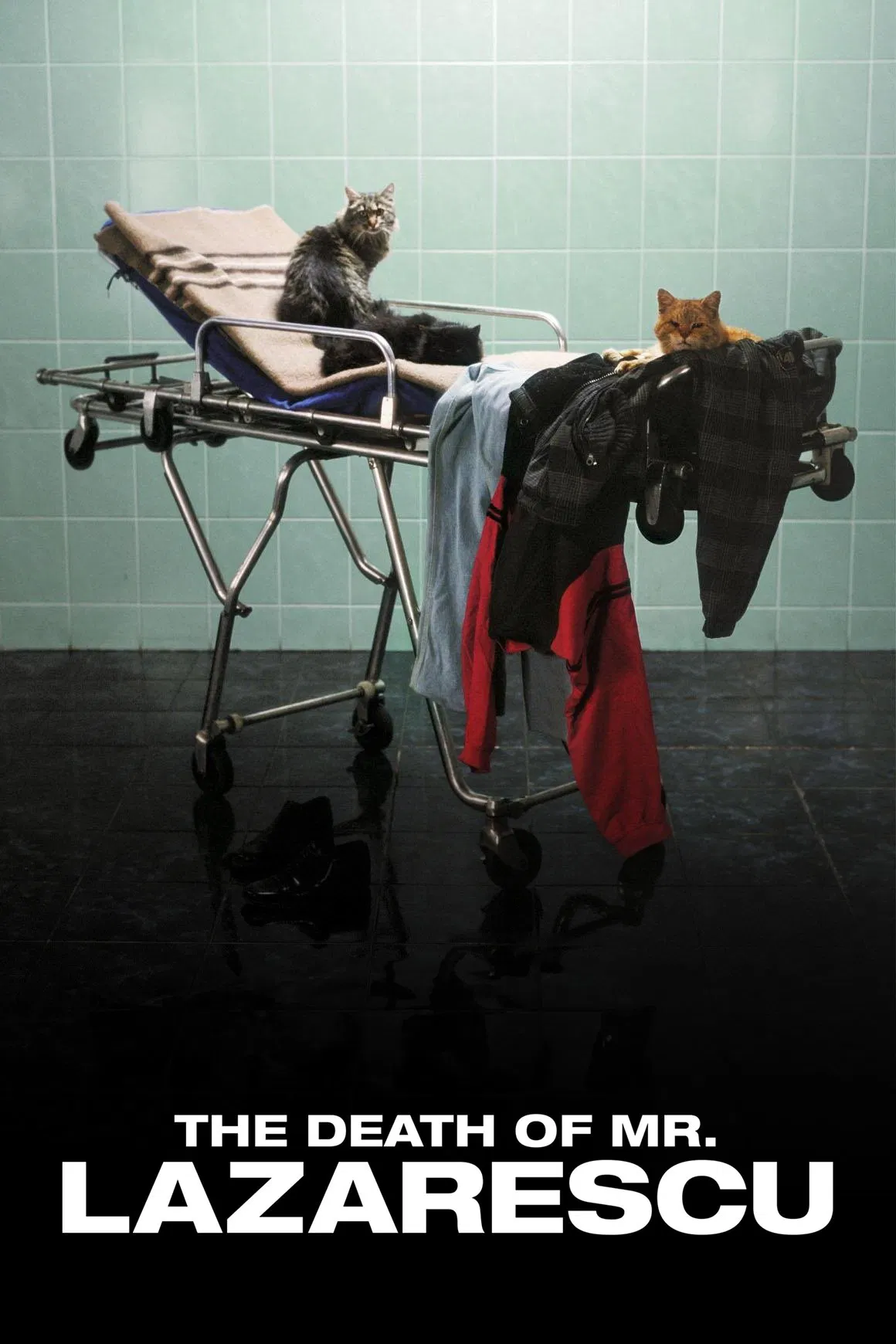 Der Tod des Herrn Lazarescu