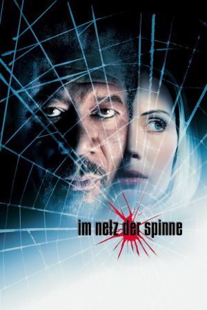 Im Netz der Spinne