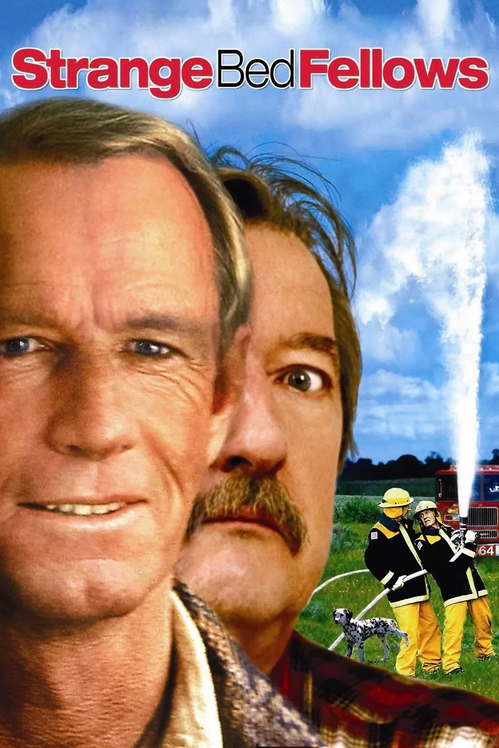 Schräge Bettgesellen