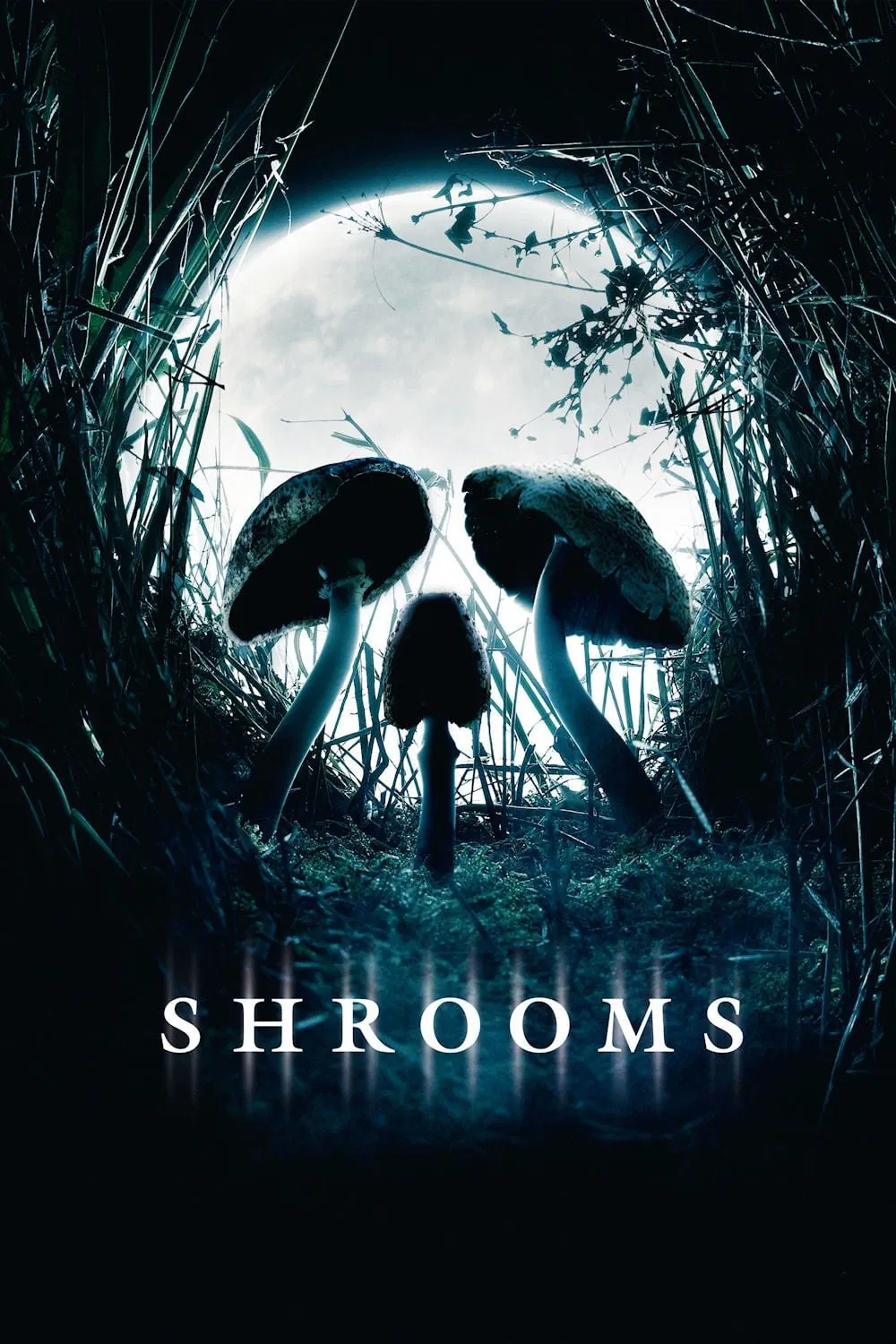 Shrooms – Im Rausch des Todes