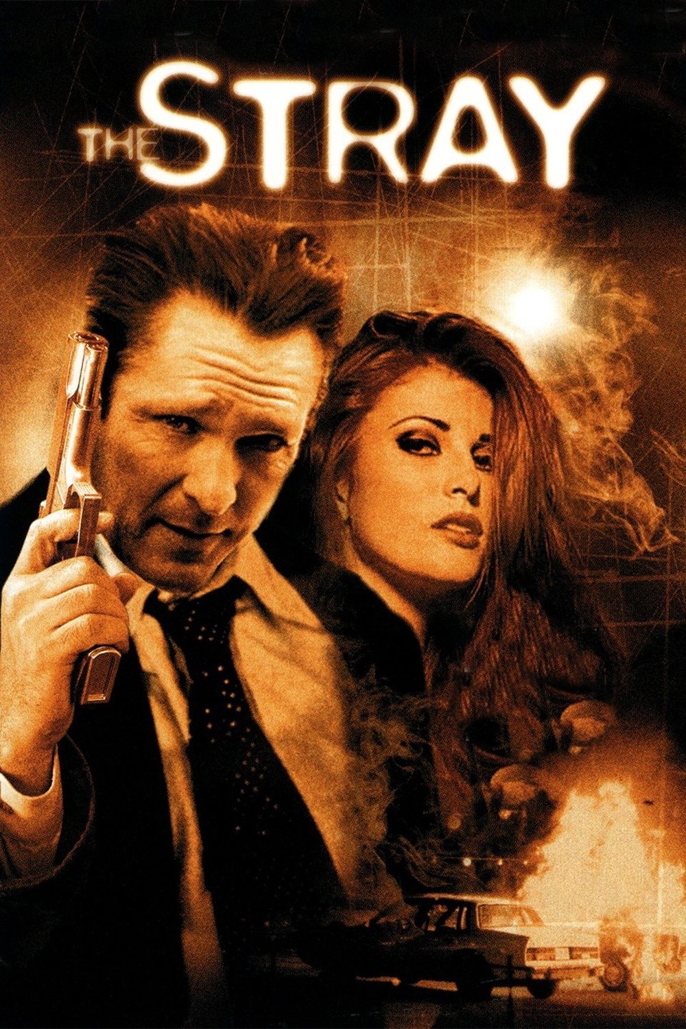 The Stray - Der Racheengel