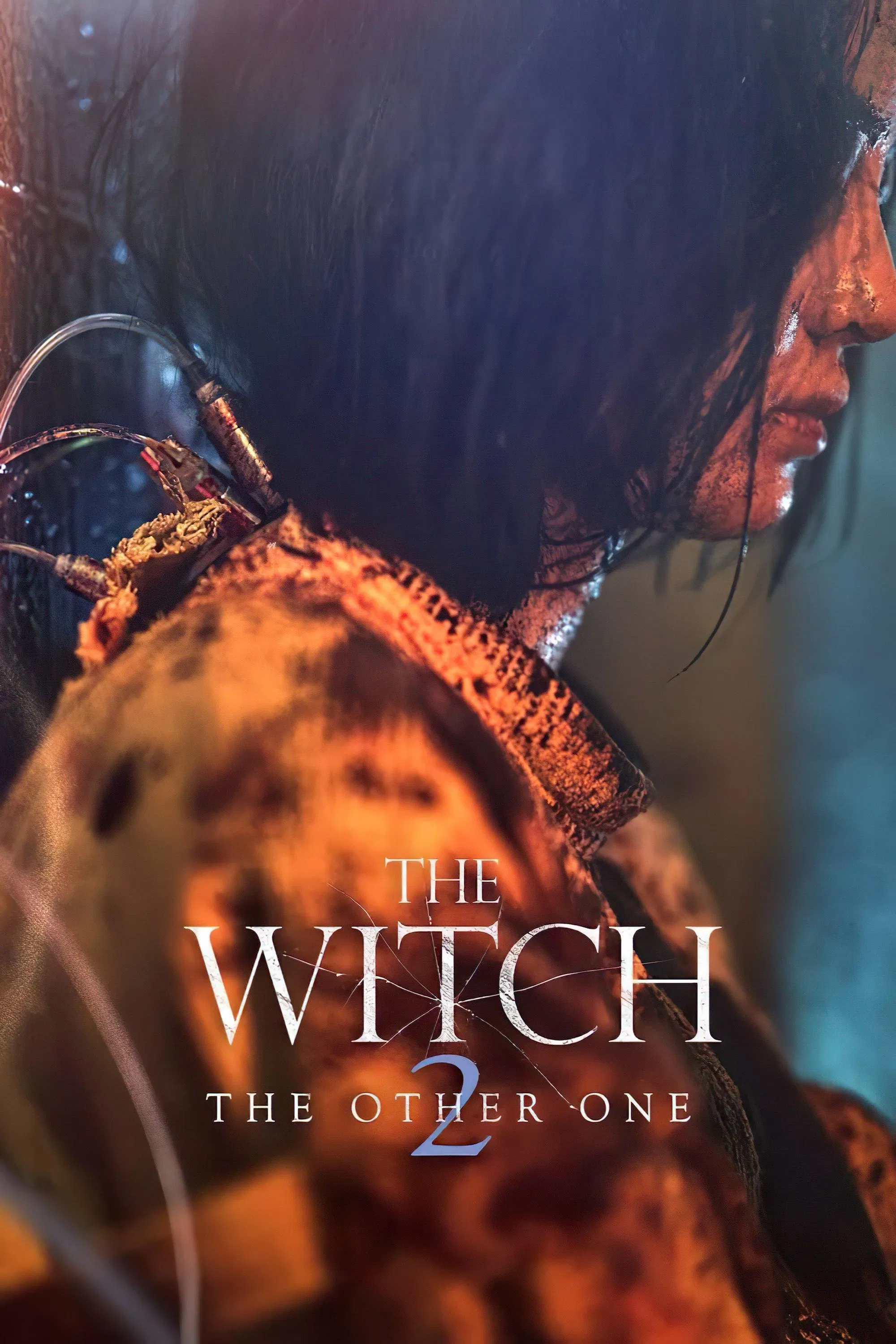 The Witch: The Other One