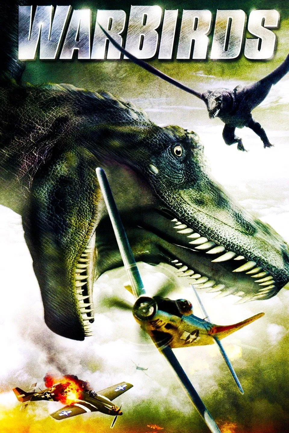 Warbirds - Drachen des Todes