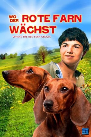 Wo der rote Farn wächst